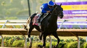Del Mar, 2026 Pacific Classic, Knightsbridge